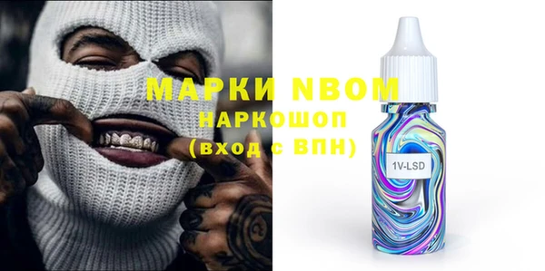 шишки Богородицк