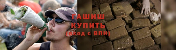 шишки Богородицк