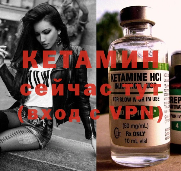 шишки Богородицк