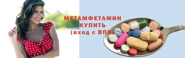 шишки Богородицк