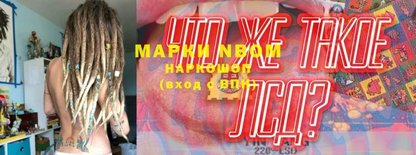 шишки Богородицк