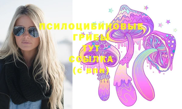 шишки Богородицк
