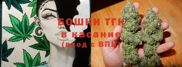 шишки Богородицк