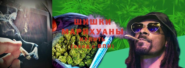 шишки Богородицк