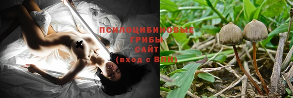 COCAINE Богданович