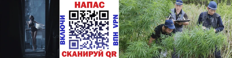 Бошки Шишки LSD WEED Ижевск